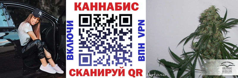 Где можно купить наркотики Камышлов Гашиш  Кокаин  Альфа ПВП  Амфетамин  Меф мяу мяу 