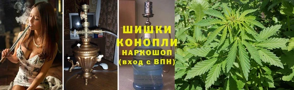 каннабис Аркадак