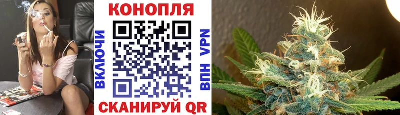 закладки  omg маркетплейс  МАРИХУАНА сатива  Камышлов 